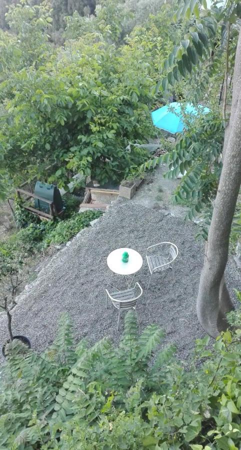 Appartement Cinque Terre Sea View Vernazza